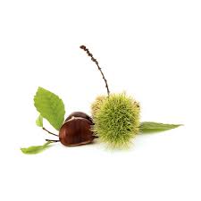 Rsultat de recherche d'images pour 