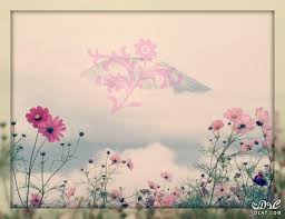 نتيجة بحث الصور عن تصميمات صور فوتوشوب