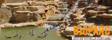 Résultat de recherche d'images pour "zoo doué la fontaine"