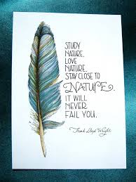 Feather Art - Study Nature, Love Nature Quote - Frank Lloyd Wright ... via Relatably.com