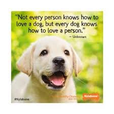 Quotes About Pets on Pinterest | Pet Quotes, Dogs and Love My Dog via Relatably.com