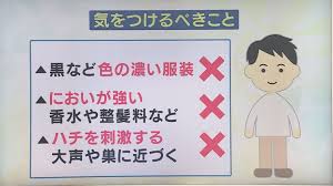 Yahoo!ニュース - News update
