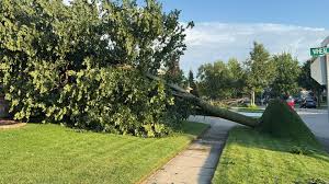 Two tornadoes confirmed in southwestern Ontario following severe storms
