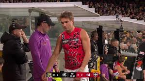 News source: afl.com.au