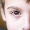 Story image for Best Pet Supplies Pet Eye Drops Lubricants For Sale from Daily Mail