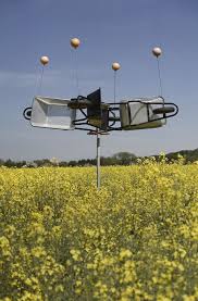 Resultado de imagem para bird scarer from china