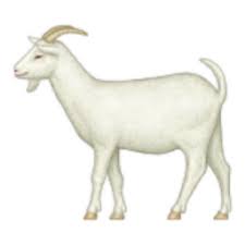Image result for GOAT