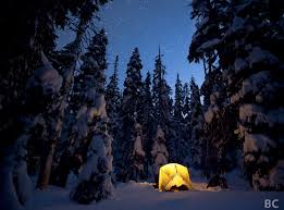 Image result for Beautiful Night Photography