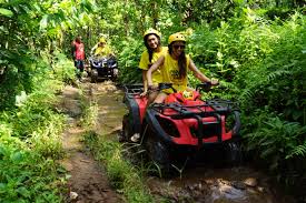 Hasil gambar untuk atv bali