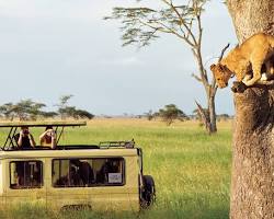 Image of Tanzania safari