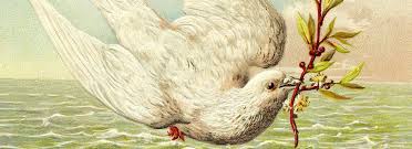 Image result for romans 8: 1-15