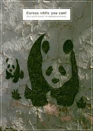 Afbeeldingsresultaat voor moss graffiti