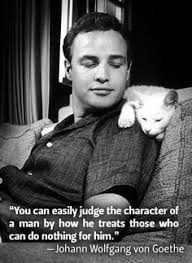 marlon on Pinterest | Marlon Brando, The Godfather and Actors via Relatably.com