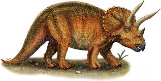 Resultado de imagen para triceratops