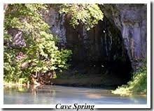 Image result for "Round Spring"