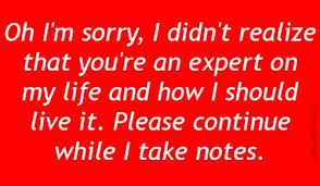 Witty Sarcastic Sarcasm on Pinterest | Sarcastic Quotes, Sarcasm ... via Relatably.com