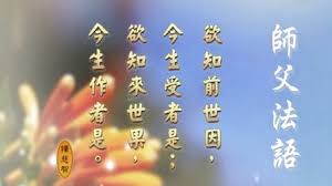 Image result for 欲知來世果，今生作者是；