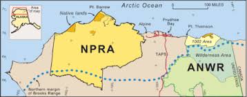 Image result for oil alaska