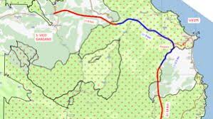 Trend Google: superstrada