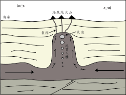 「泥貫入體」的圖片搜尋結果