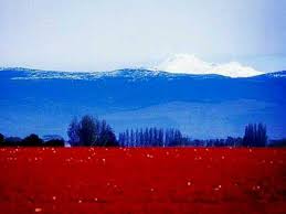 images?q=tbn:ANd9GcSefjD74wnXovMcD0L3rC2lOlQKruYegD92lxVNjGpP-LcGm-cG