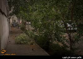نتیجه تصویری برای طوفان تهران را درنوردید