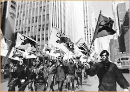 Image result for black panthers oakland
