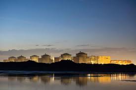 Invasion de méduses! Centrale nucléaire française à l'arrêt! - Imagen principal del artículo