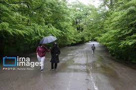کاهش نسبی دما در ۸ استان نوار شمالی کشور