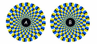 Résultat de recherche d'images pour "rotating snakes"