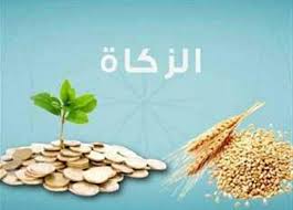 المصري اليوم