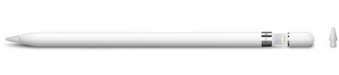 Image result for apple pencil charging adapter