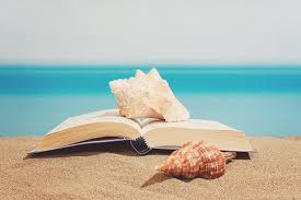 Résultat de recherche d'images pour "summer holiday books"