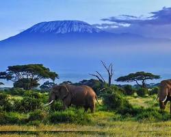 Image of Amboseli National Park, Kenya Wet Season
