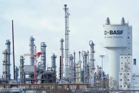 Basf News : ce qu'il faut savoir — image 5