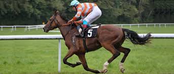 Résultat de recherche d'images pour "image d'hippodromes de chevaux de course"