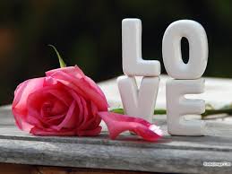 Image result for ‫عشق‬&lrm;