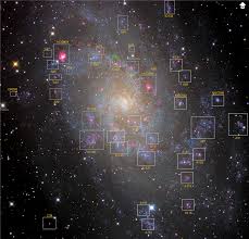 Image result for galaxy m33