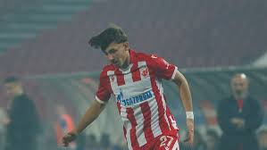 Trend Google: stankovic