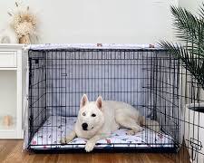 happy pet in a stylish cageの画像