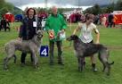 Norsk Kennel Klub (NKK) - Facebook