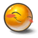Image result for blushing smiley