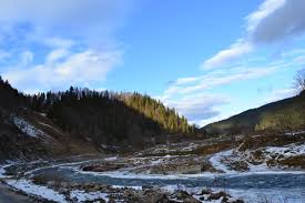 Картинки по запросу село розтоки