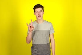 Image result for shawn mendes 2015