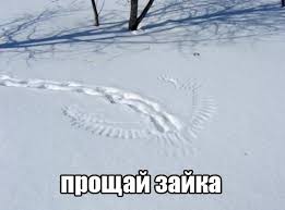 images?q=tbn:ANd9GcSg-dLcn6sftQe78d-fvPGfTYeqGuKj8ZxiOBbwrLzKieuC0CPN