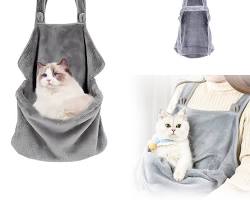 cat in a carrier and a dog in a slingの画像