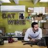 Story image for Best Pet Supplies Cat Supplies Cat Toys For Sale from New York Times