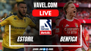 Estoril vs Benfica LIVE Score Updates in Portuguese League Match