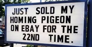 Hilarious Signs Light Up the Internet: A Weekly Roundup