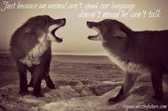 Fox Animal Quotes. QuotesGram via Relatably.com